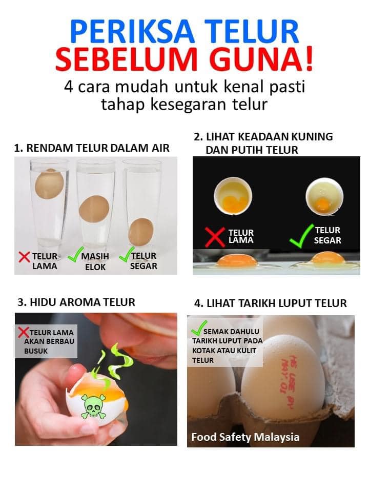 Kena Tahu. Ini Tanda-Tanda Telur Di Dapur Anda Telah Rosak.