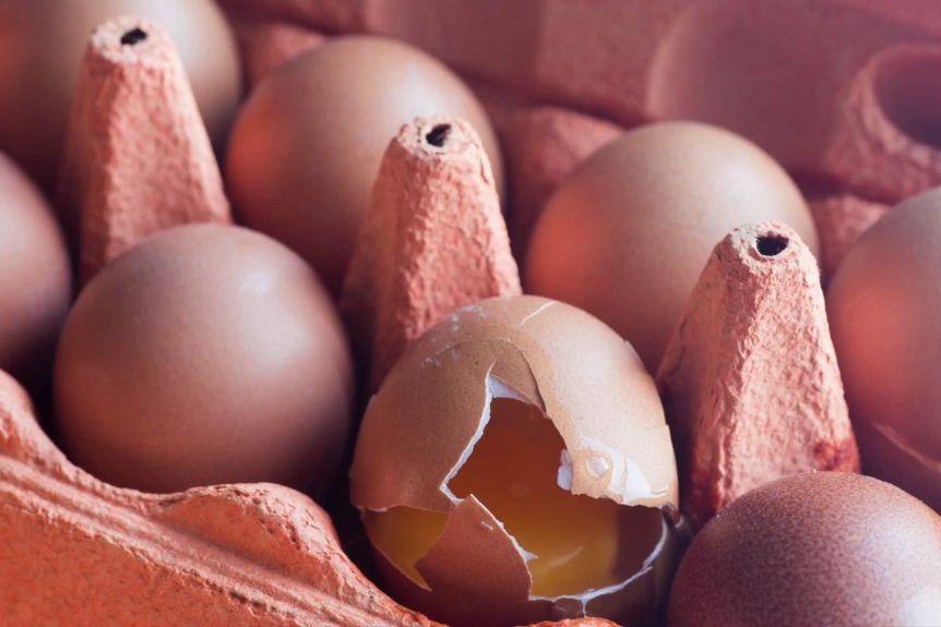 Kena Tahu. Ini Tanda-Tanda Telur Di Dapur Anda Telah Rosak.
