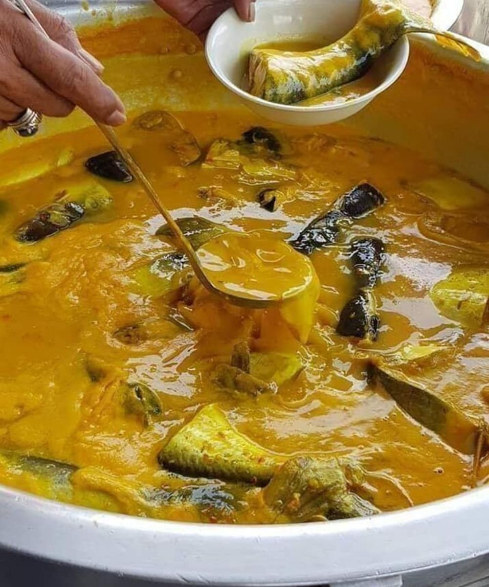 Ni Dia Resipi Asli Ikan Patin Masak Tempoyak Temerloh, Pahang