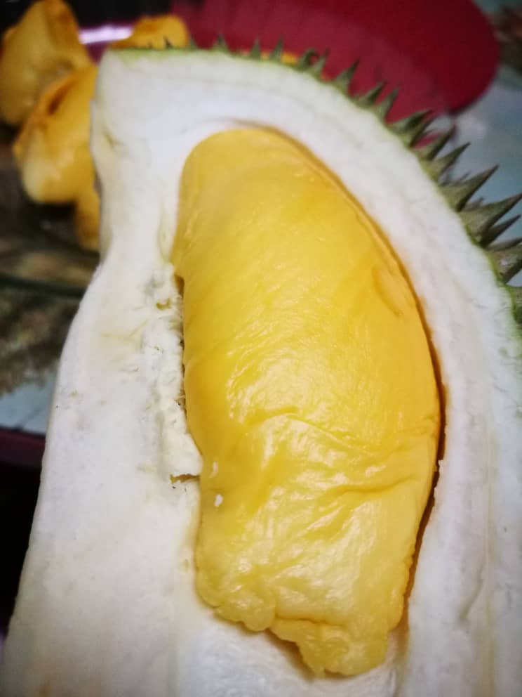 Tip Pilih Durian Isi Banyak, Masak Elok & Tak Keras.