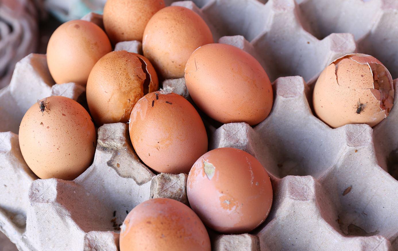 Kena Tahu. Ini Tanda-Tanda Telur Di Dapur Anda Telah Rosak.