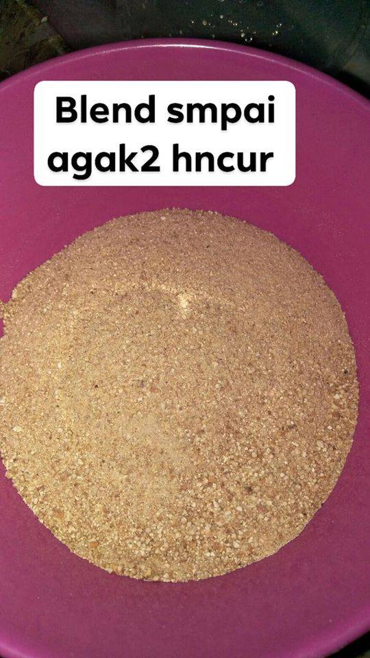 Cara Buat Pekasam Cendawan Tiram Homemade Guna 3 Bahan Je