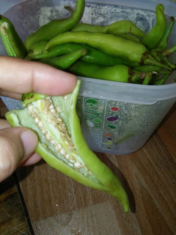 Resipi Solok Lada Kukus & Solok Lada Rebus Yang Sedap, Mudah