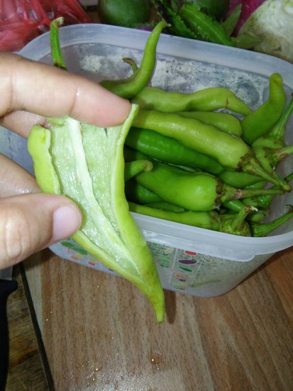 Resipi Solok Lada Kukus & Solok Lada Rebus Yang Sedap, Mudah