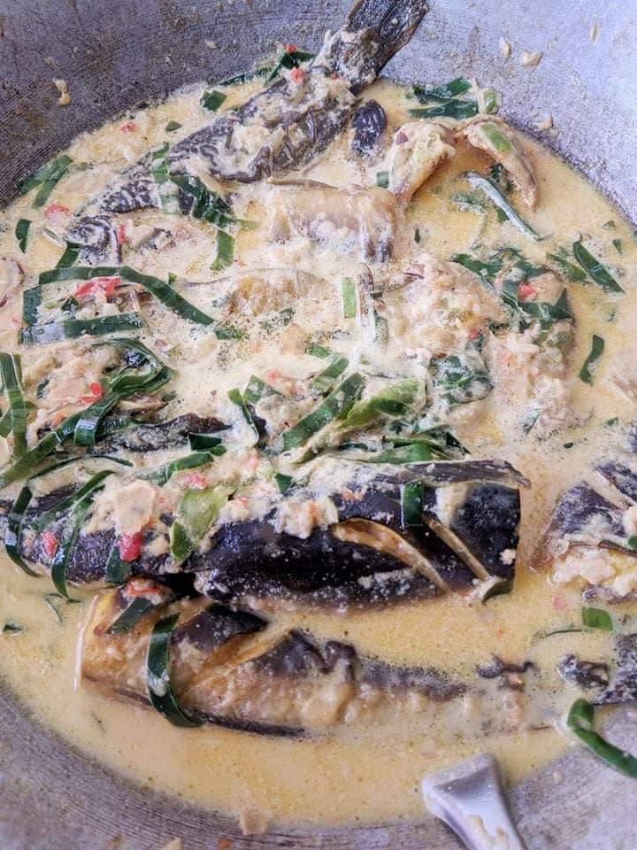 Kompilasi Resipi Lauk Masak Lemak. Sedap, Mudah & Buka Selera.