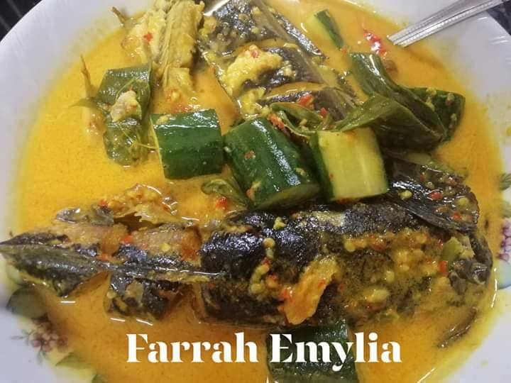 Kompilasi Resipi Lauk Masak Lemak. Sedap, Mudah & Buka Selera.