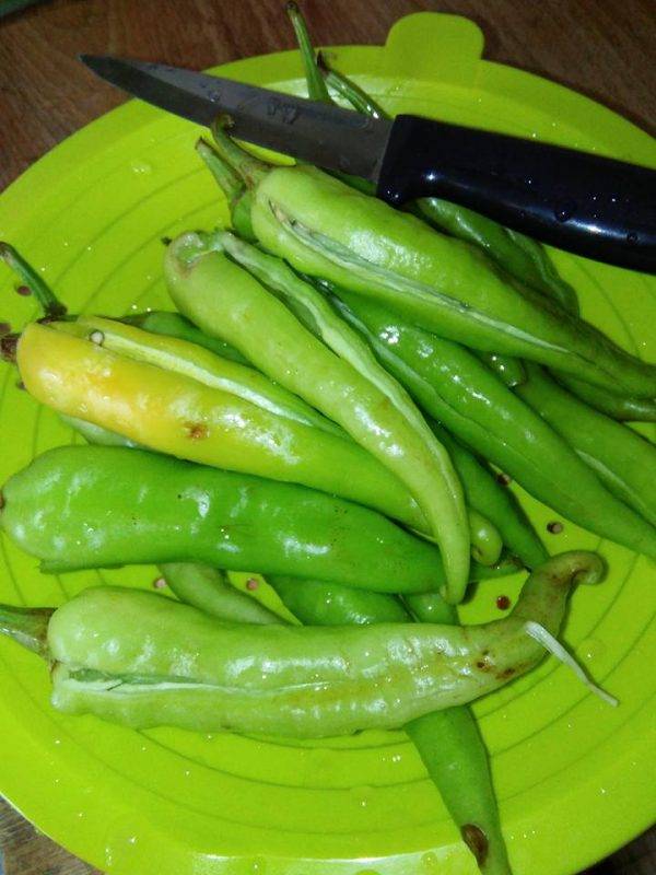 Resipi Solok Lada Kukus & Solok Lada Rebus Yang Sedap, Mudah