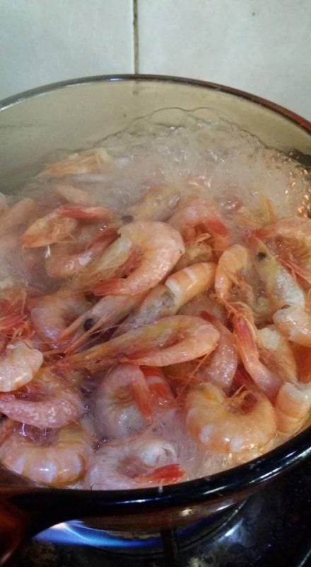 Cara Buat Udang Kering Homemade Tanpa Perlu Jemur