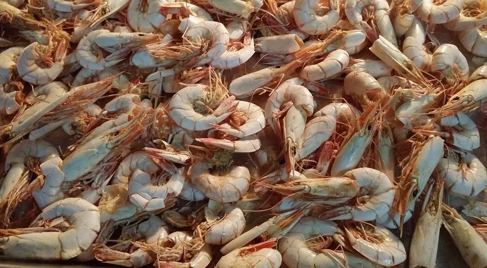 Cara Buat Udang Kering Homemade Tanpa Perlu Jemur