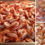 Cara Buat Udang Kering Homemade Tanpa Perlu Jemur