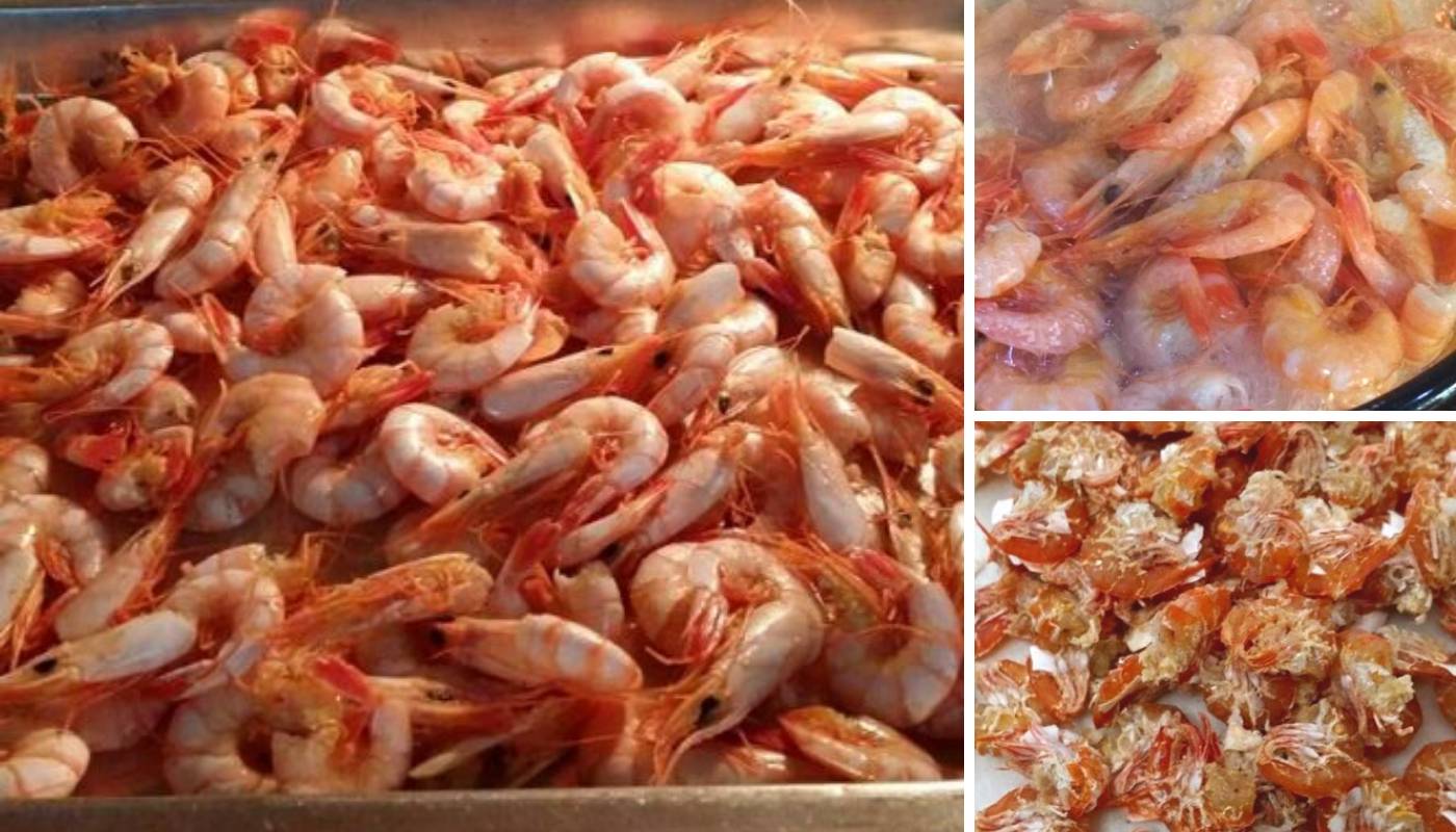 Cara Buat Udang Kering Homemade Tanpa Perlu Jemur