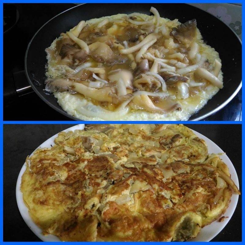 Aneka Resipi Telur Dadar Yang Diolah. Lebih Sedap & Mudah Masak.