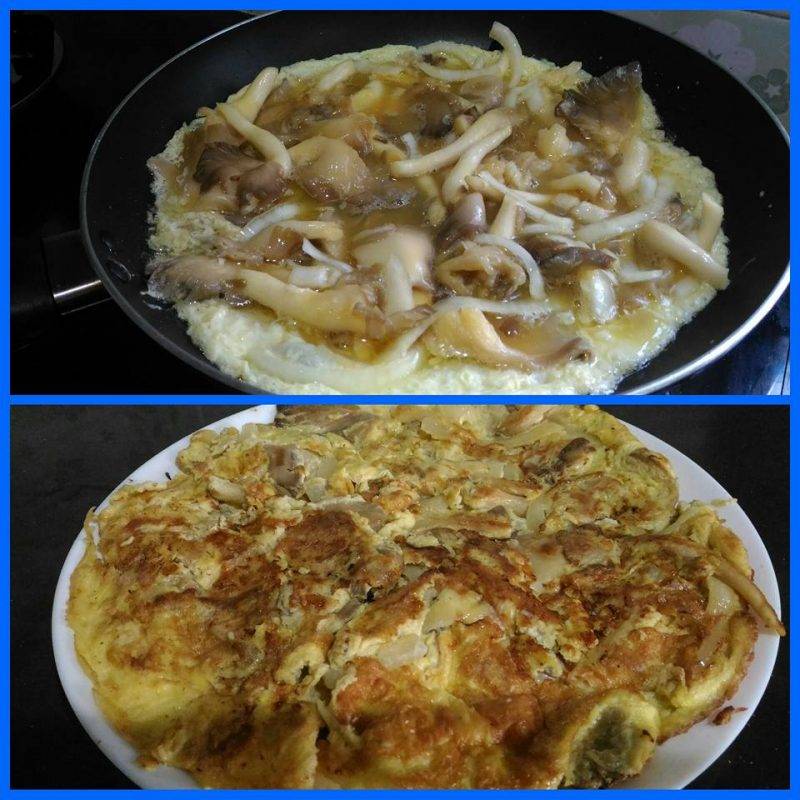 Ringkas Tapi Boleh Masak Macam-Macam. Aneka Resipi Telur Dadar Mudah &#038; Sedap