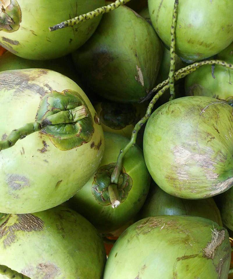 Resipi Jeli Kelapa Muda Guna Sukatan Cawan. Sedap &#038; Sejuk Dimakan