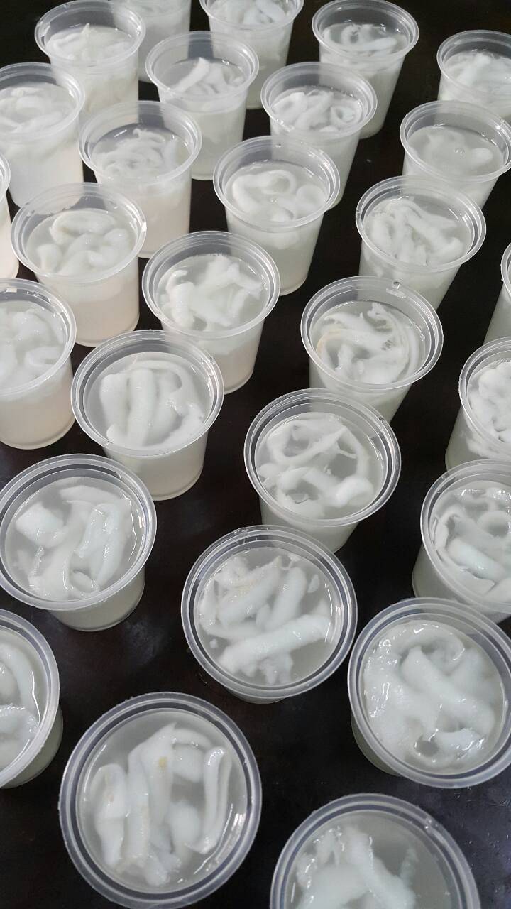 Resipi Jeli Kelapa Muda Guna Sukatan Cawan. Sedap & Sejuk Dimakan