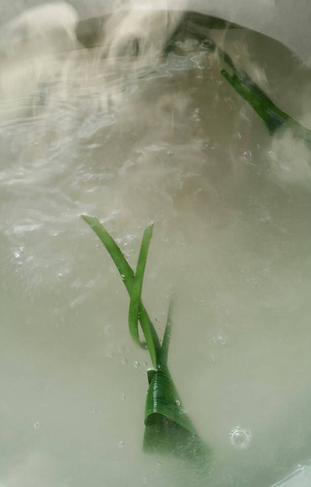 Resipi Jeli Kelapa Muda Guna Sukatan Cawan. Sedap & Sejuk Dimakan