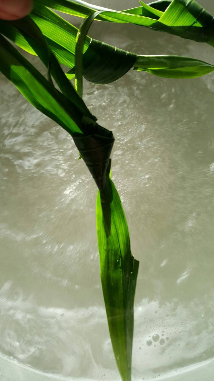 Resipi Jeli Kelapa Muda Guna Sukatan Cawan. Sedap & Sejuk Dimakan