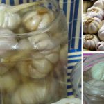 Cara Mudah Buat Bawang Jeruk Homemade Guna Bawang Putih Biasa