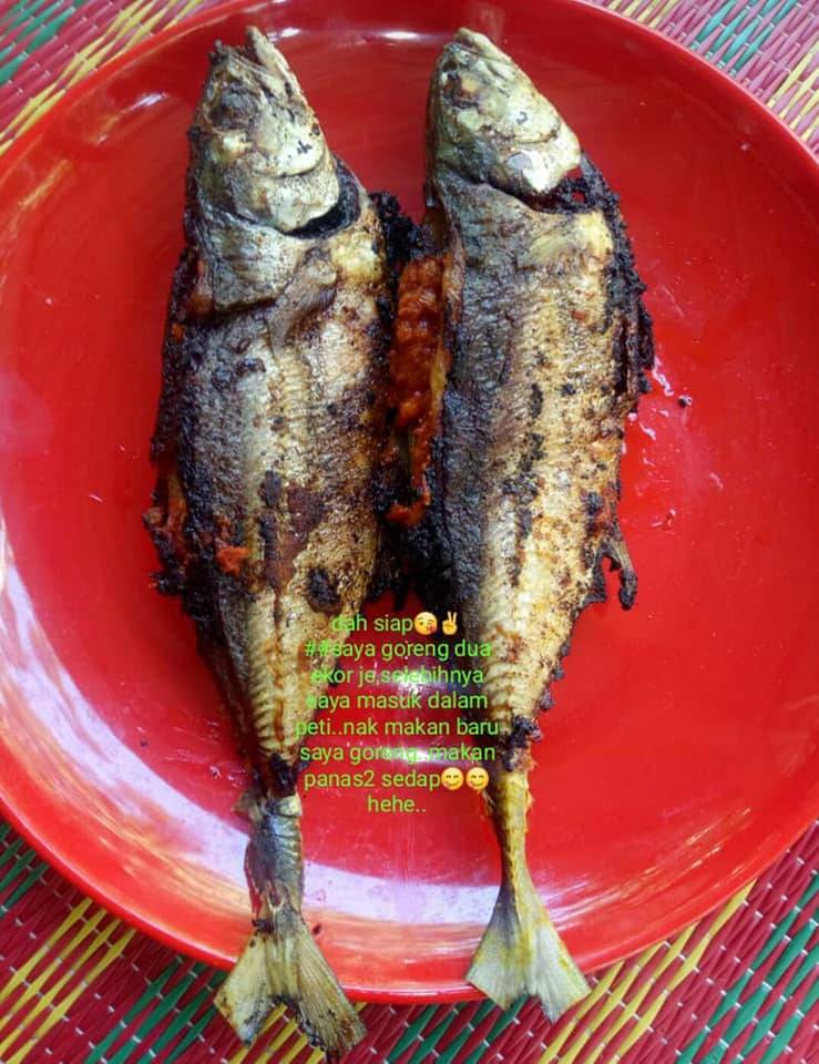 Resipi Ikan Cencaru Sumbat Yang Sedap Hingga Menjilat Jari