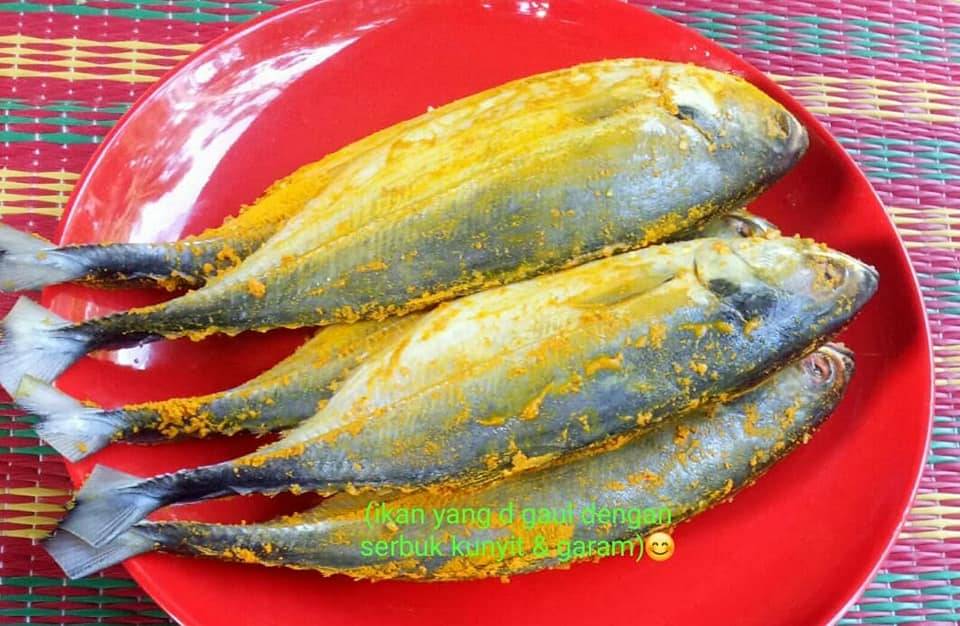 Resipi Ikan Cencaru Sumbat Yang Sedap Hingga Menjilat Jari