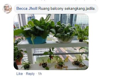 Kebun Kluster Kayangan, Duduk Apartment Tak Semestinya Tak Boleh Bercucuk Tanam