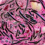 Untitled-design-23