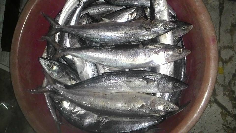 Resipi Ikan Tenggiri Jeruk Homemade. Boleh Buat Berniaga