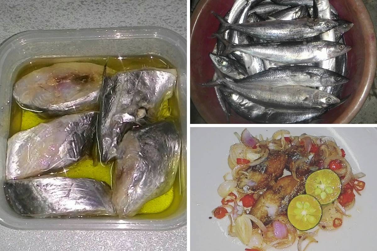 Resipi Ikan Tenggiri Jeruk Homemade. Boleh Buat Berniaga