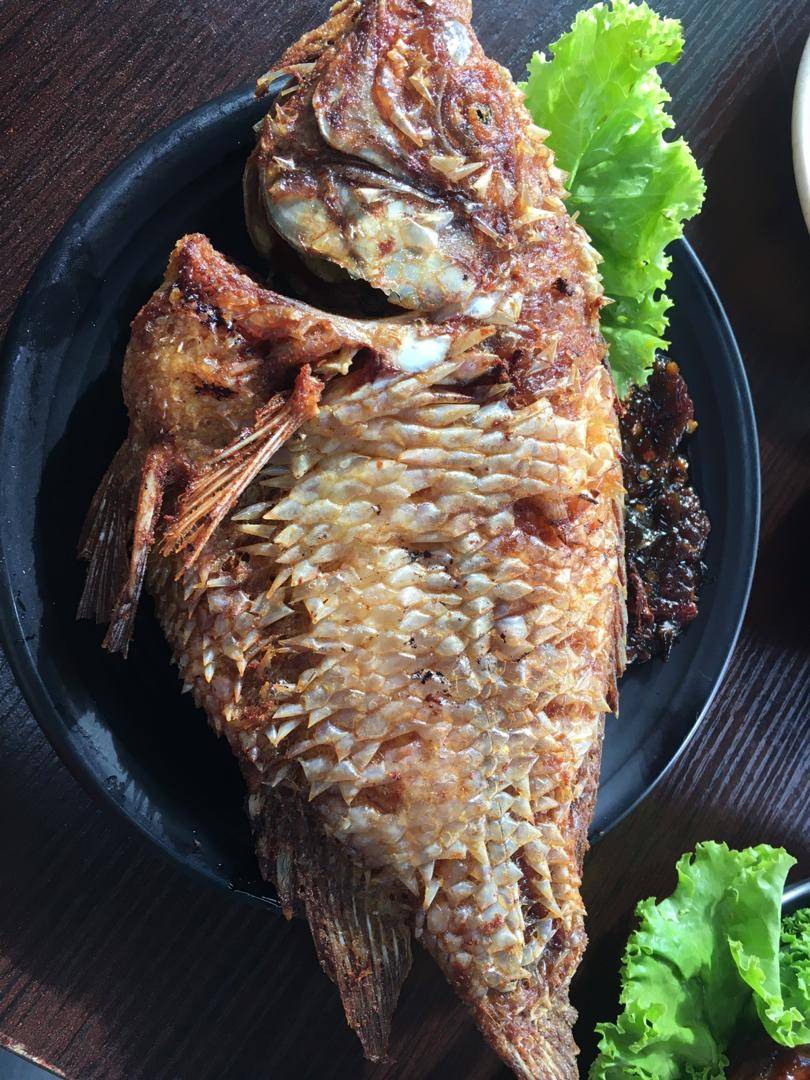 Nasi Kukus Sotong Besar &#038; Kambing Bakar Di Restoran Nasi Kukus Sotong Besar Memang Padu Rasa. Gerenti Ketagih Nak Makan