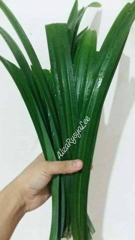 Cara Buat Agar-Agar Santan Yang Paling Mudah Tapi Sedap